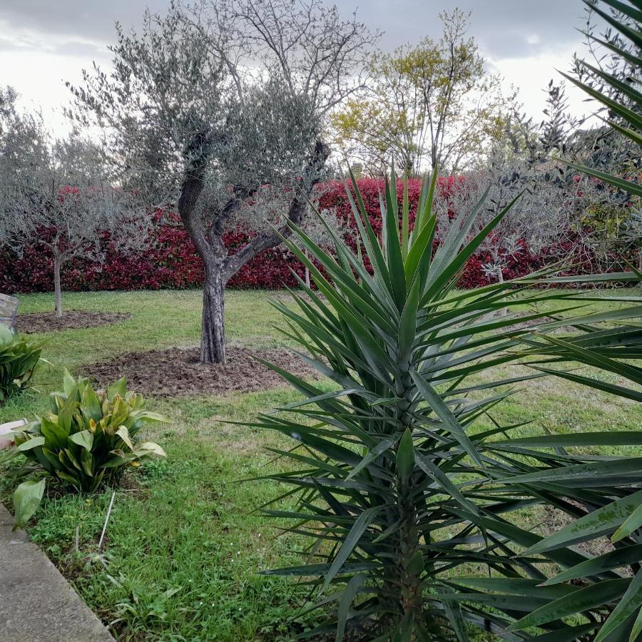 Il Ciliegio ξενώνας Treglio Εξωτερικό φωτογραφία